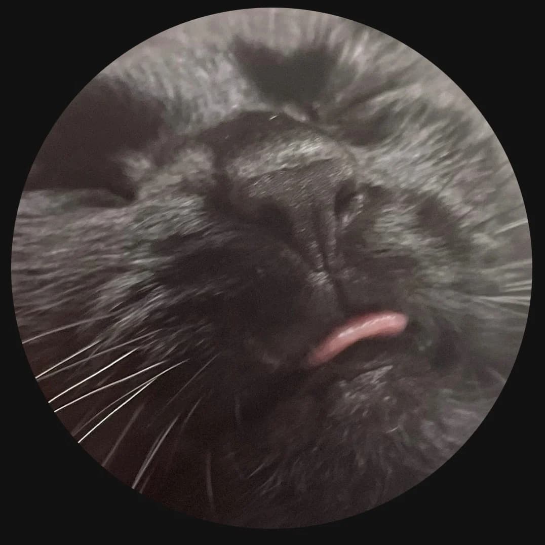 genshii profile photo